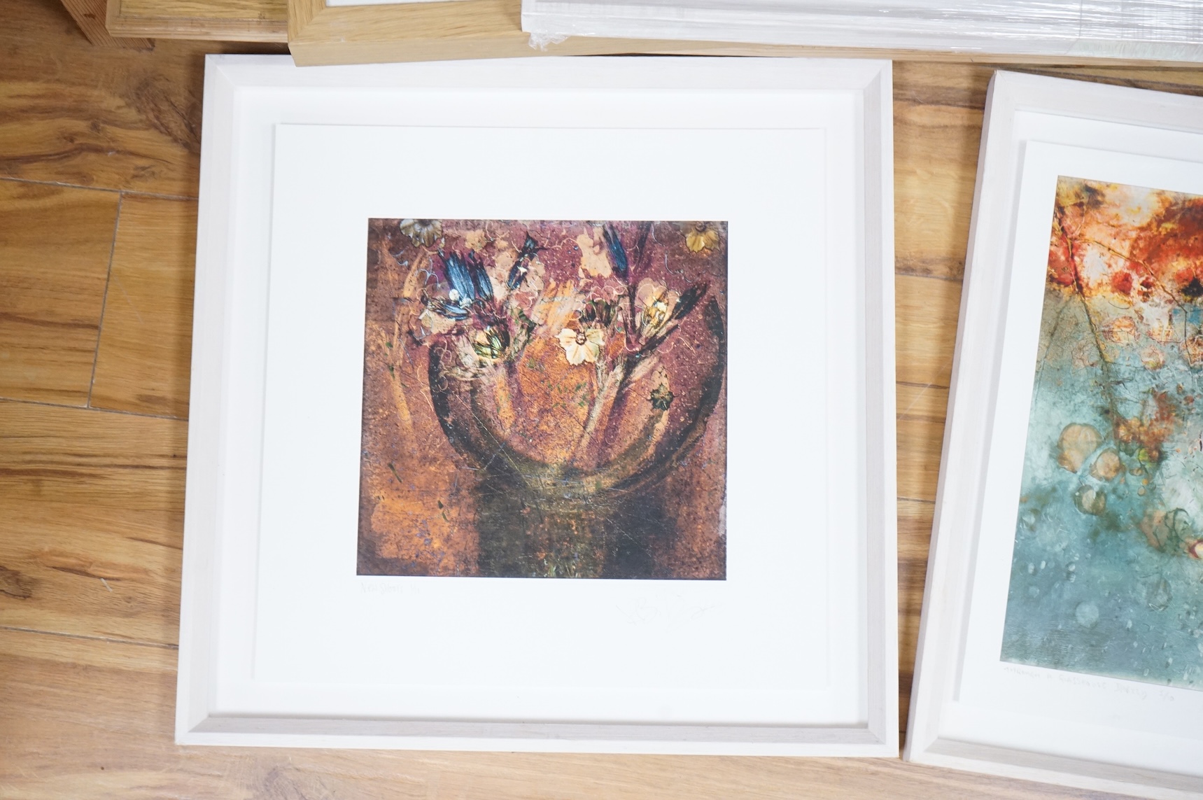 Valda Bailey (Contemporary), Abstract compositions to include ‘New Shoots’, ‘Through a Greenhouse Darkly’ and ‘A Strange Absence’, each signed in pencil, some limited edition, five photographic prints, largest 39 x 49cm